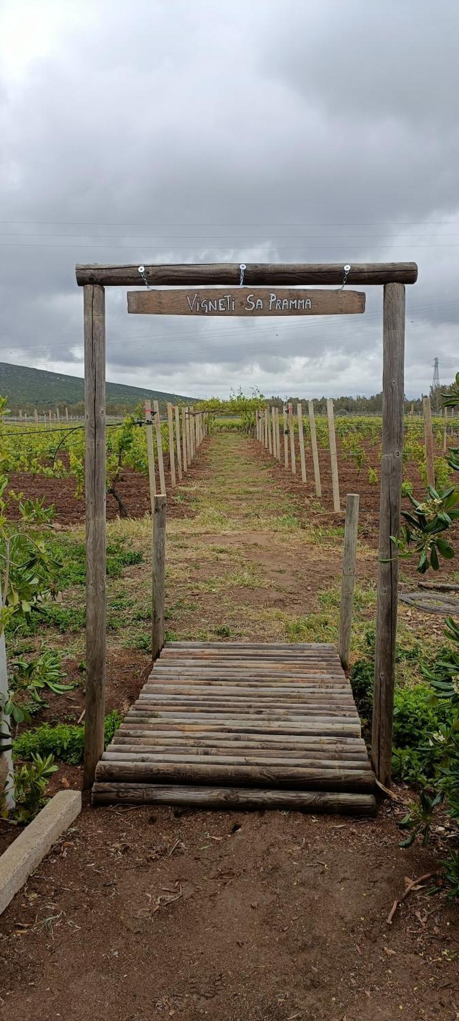 Agriturismo Sa Pramma サンタ・マリア・ラ・パルマ エクステリア 写真